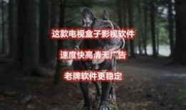 王导直播狗仔爆料视频大全,狗仔爆料视频大全精彩瞬间大盘点