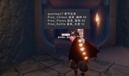 光遇物品最新爆料,神秘物品即将揭晓，探索未知领域！