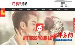 橘子最新爆料网站,揭秘娱乐圈最新动态，独家爆料等你来探