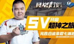 白鲨最新爆料视频网站,揭秘视频网站幕后真相