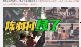 韩网男团爆料事件视频在线观看,独家揭秘娱乐圈幕后真相