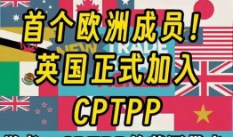 今日头条爆料王观察,揭秘娱乐圈惊人内幕