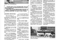 今日郑州最新爆料新闻网,揭秘城市热点事件背后的真相
