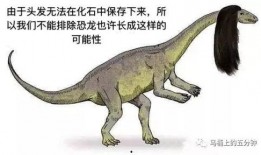 有网友爆料恐龙的视频吗,恐龙重现人间？网友热议神秘恐龙视频