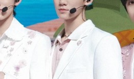 张真源私生爆料视频大全,揭秘明星私生活背后的真相