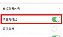 微信颜色吃瓜qq群免费,揭秘社交圈中的趣味互动