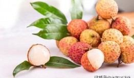 吃瓜少女衣柜视频下载免费,揭秘“吃瓜少女衣柜”视频免费下载攻略