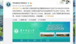 高招爆料最新,政策调整与热门专业解析