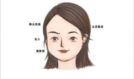 女生面相大爆料视频,大爆料视频中的美丽秘密