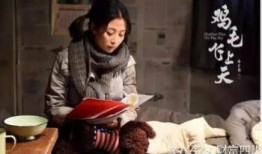 鸡毛全集在线观看,笑中带泪的人生百态