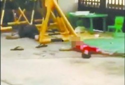 廉江横山今日新闻爆料,神秘事件引发热议，真相即将揭晓