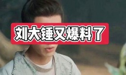 刘大锤爆料最新,揭秘娱乐圈最新惊天大事件！