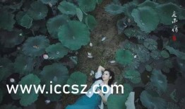 泰国性痴迷在线观看,揭秘异国风情下的情感迷局