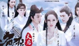 疯狂的天后在线观看,在线观看，揭秘娱乐圈风云变幻