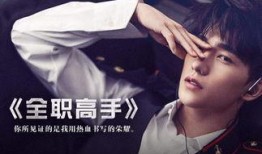 大飞爆料肖战杨紫视频,大飞爆料引发网友热议