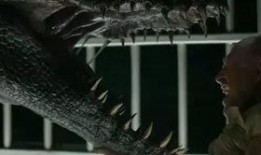 有网友爆料恐龙的视频吗,恐龙重现人间？网友热议神秘恐龙视频