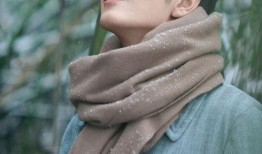 杨紫肖战娱乐爆料,揭秘明星幕后故事