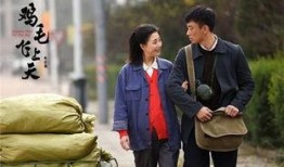 鸡毛全集在线观看,笑中带泪的人生百态