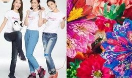 she 在线观看,揭开神秘面纱的剧情概览