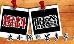 怎样想新闻爆料,揭秘新闻爆料背后的思考与行动