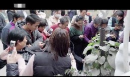 古典小勇被谁爆料了视频,揭秘背后爆料者身份