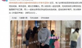 质子团绯闻爆料视频大全,视频大全深度解析