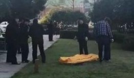 常州景区爆料事件视频,惊现惊人一幕，真相令人震惊！