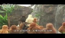 新西游记2在线观看,奇幻冒险再续传奇，笑料与智慧并存！