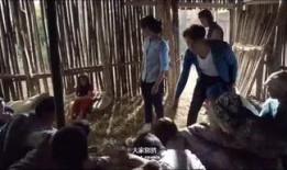 晚安姐姐爆料死水视频,晚安姐姐爆料死水视频背后的真相