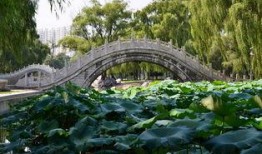 邢台活泉公园爆料视频,揭秘古泉魅力，探寻自然与人文交融的生态乐园