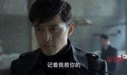 伪装者 在线观看,谍影重重，揭秘抗战岁月的生死较量