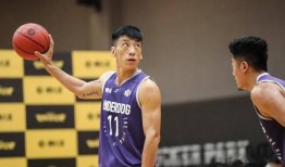 王晶篮球爆料视频,揭秘篮球界不为人知的幕后故事