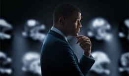 震荡效应在线观看,在线观看带你领略市场波动奥秘