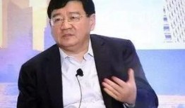 爆料徐小平视频,揭秘创业圈真实内幕