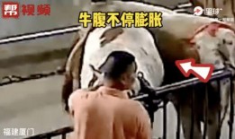 橙衣男子爆料视频大全集,揭秘事件真相与幕后黑幕