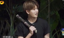 娱乐吃瓜任嘉伦,娱乐吃瓜界的“瓜王”