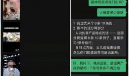 向死而生二狗yy爆料视频,背后真相与情感纠葛