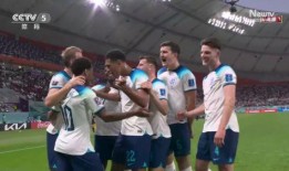 在线观看世界杯,线上盛宴一网打尽