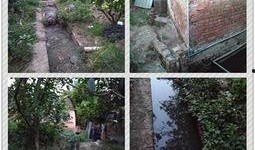 孙女爆料养猪场视频在线观看,养猪场真实内幕视频震撼曝光