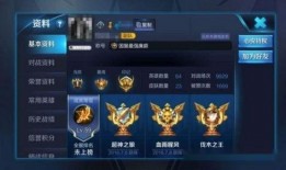 王者皮肤爆料最新分类表,最新分类表揭秘，热门皮肤抢先看！