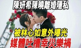 幸灾乐祸爆料新闻视频,揭秘新闻背后的惊人真相