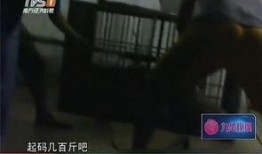 屠宰最新爆料视频大全集,屠宰行业内幕大揭秘视频全集深度解析