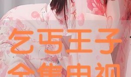 丐王电视剧在线观看,江湖传奇，在线重温英雄梦