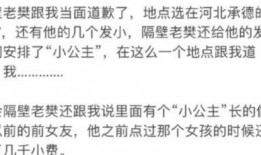 小樊给人爆料视频大全,热点事件背后的真相与内幕
