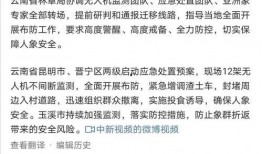 大象新闻爆料情感剧本视频,情感剧本视频背后的感人故事