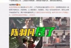 西安爆料刘红昌视频全集,揭秘事件真相与背后故事