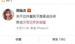 东坑新闻爆料最新