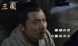 新三国73集在线观看,英雄末路，乱世风云再起