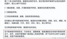 大象新闻爆料情感剧本视频,情感剧本视频背后的感人故事
