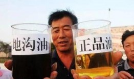 开心爆料地沟油视频,开心爆料视频曝光惊人内幕